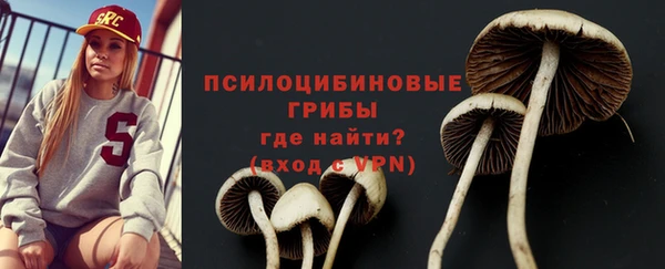 крисы Армянск